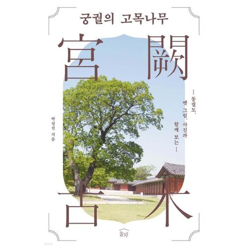 Le vieil arbre du palais 