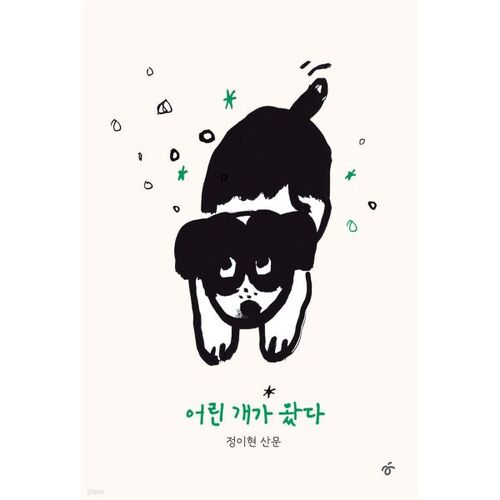 Un jeune chien est arrivé 