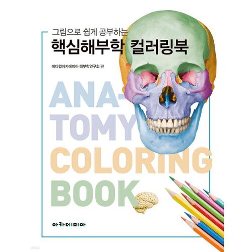 Un livre de coloriage d'anatomie de base facile à apprendre, avec des illustrations. 