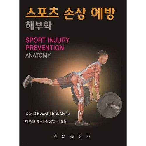 Anatomie de la prévention des blessures sportives 