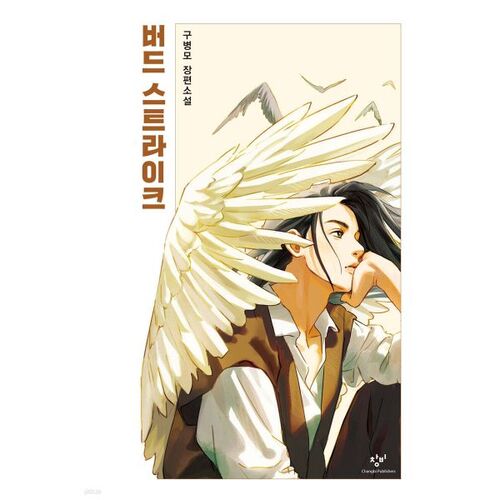 collision avec des oiseaux 