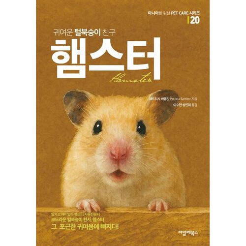 Cute furry friend hamster 