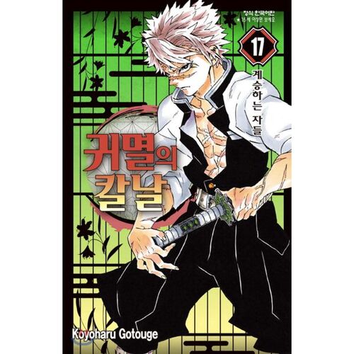Demon Slayer 17 