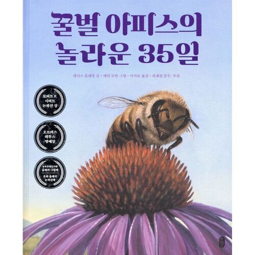 The Amazing 35 Days of Apis the Honeybee 
