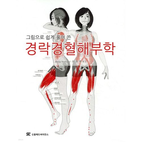 Anatomie des méridiens et des points d'acupuncture 