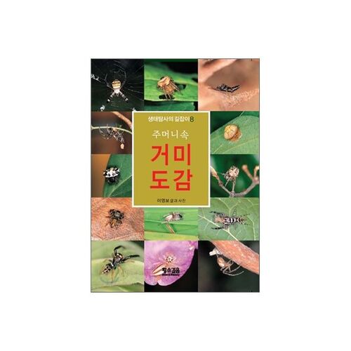 Pocket Spider Encyclopedia 