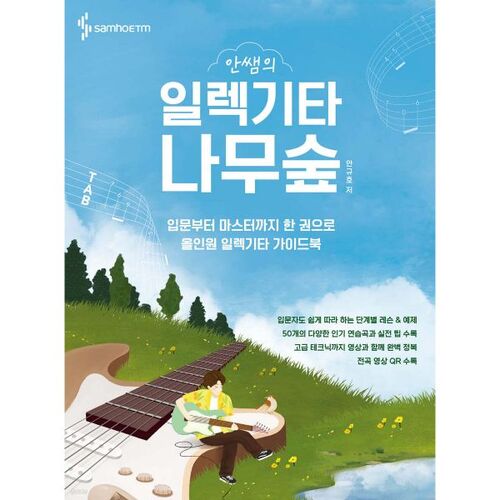 안쌤의 일렉기타 나무숲