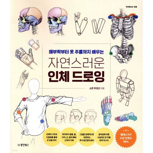 Natural human body drawing 