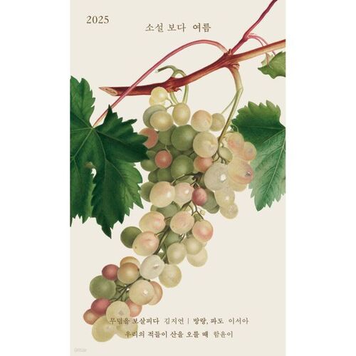 More Than a Novel: Summer 2025 