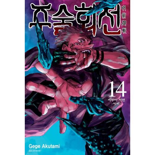 Jujutsu Kaisen 14 Standard Edition 