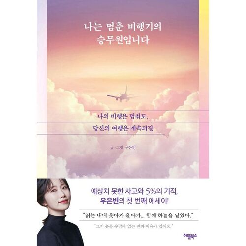 Je suis hôtesse de l'air à bord d'un avion immobilisé. 