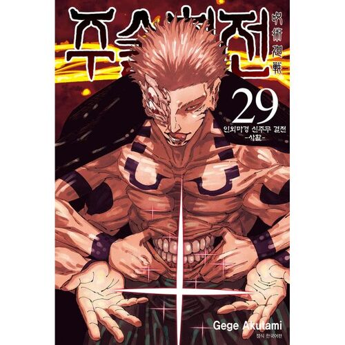 Jujutsu Kaisen 29 Standard Edition 