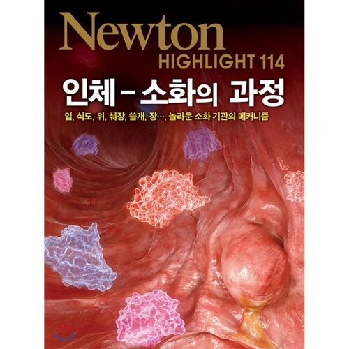 NEWTON HIGHLIGHT : Le corps humain en bref - Le processus digestif 