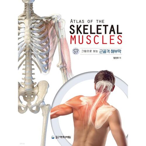 Anatomie musculo-squelettique 