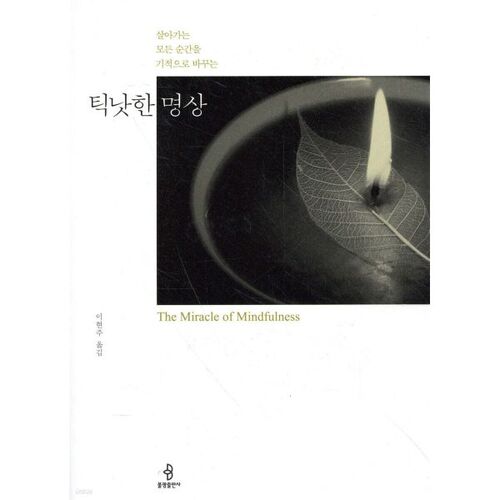 Thich Nhat Hanh Meditation 