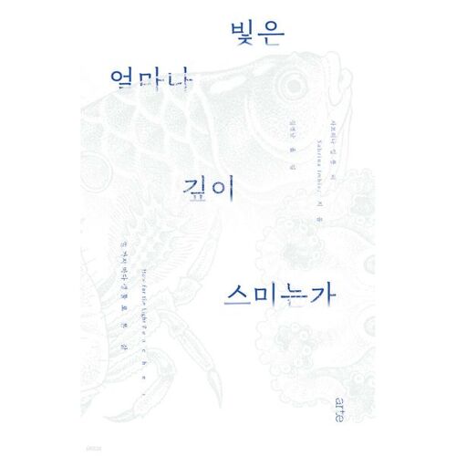 Jusqu'à quelle profondeur la lumière pénètre-t-elle ? 