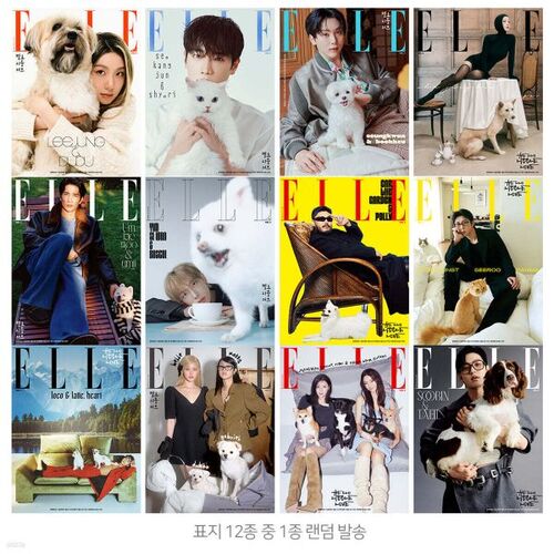 ELLE Vol. 2 (Women's Monthly) : novembre [2025] 