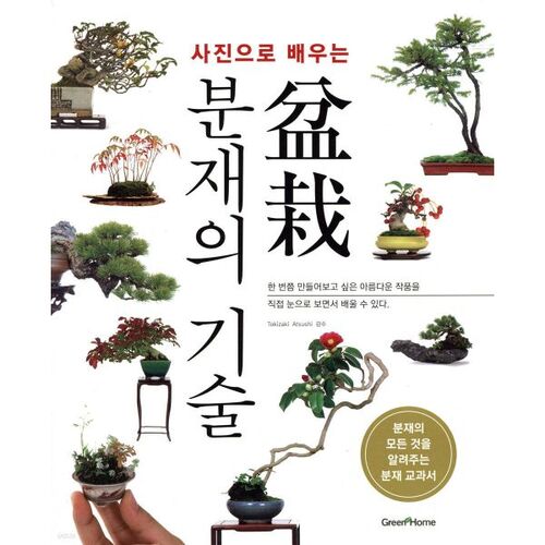 Apprendre l'art du bonsaï grâce aux photos 