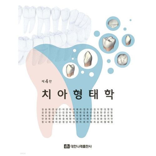 morphologie dentaire 