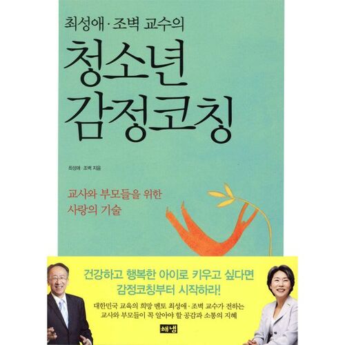 Coaching émotionnel pour les jeunes 