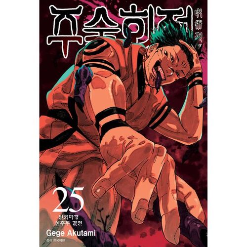 Jujutsu Kaisen 25 Standard Edition 