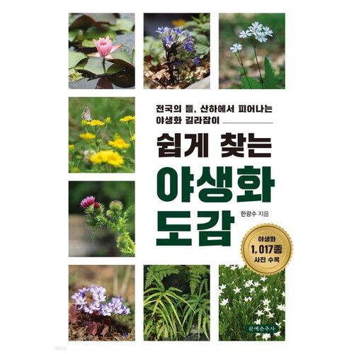 Guide des fleurs sauvages facile à trouver 