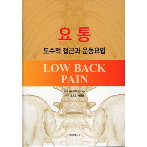 Lombalgie : approche manuelle et thérapie par l'exercice 