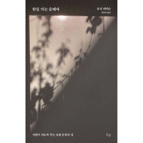 Un pèlerin en voyage 