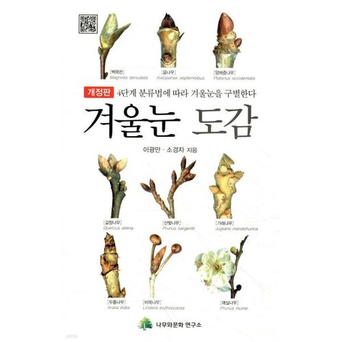 Winter Snow Encyclopedia 