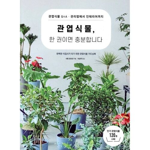 Une seule plante en pot suffit 