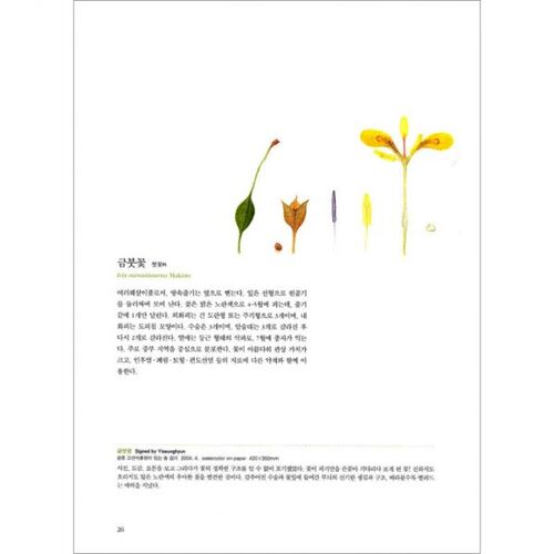 The grass and trees of Gwangneung Forest seen in detail 