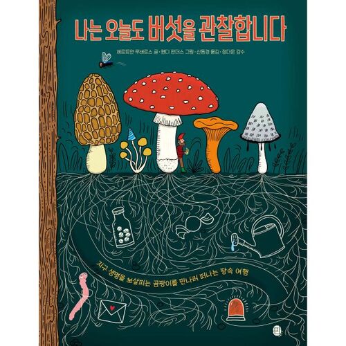 I observe mushrooms again today 