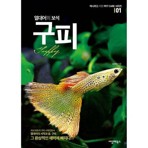 Guppy, the jewel of tropical fish 
