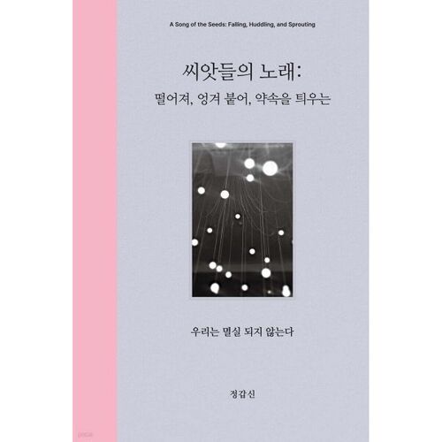 Le chant des graines 