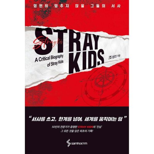 STRAY KIDS - Leur histoire sans fin 