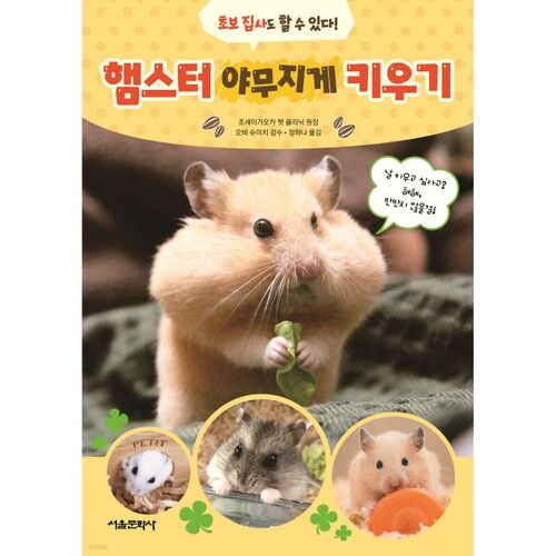 Raising a hamster properly 