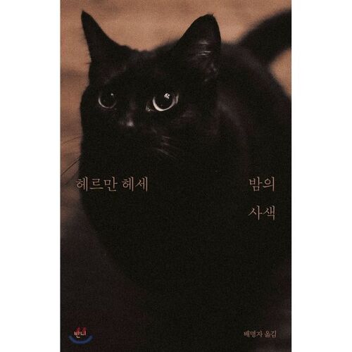 Pensées nocturnes 