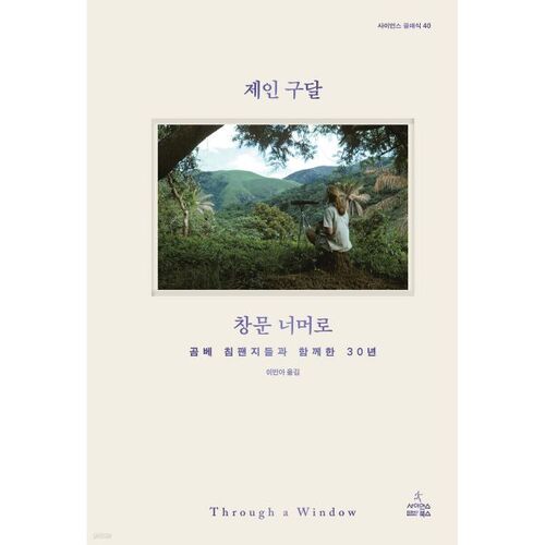 Au-delà de la fenêtre 