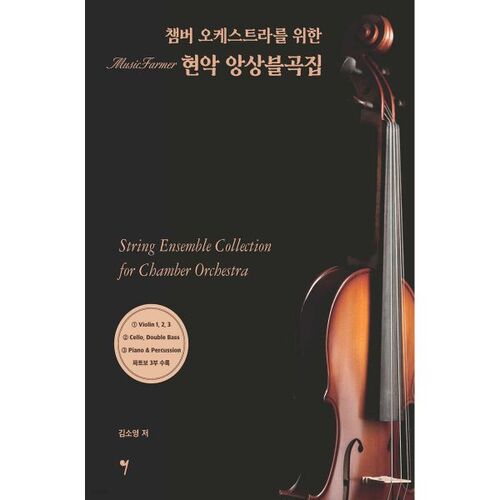 String Ensemble Pieces for Chamber Orchestra 