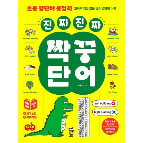 Elementary English Vocabulary Summary: Real, Real Partner Words 