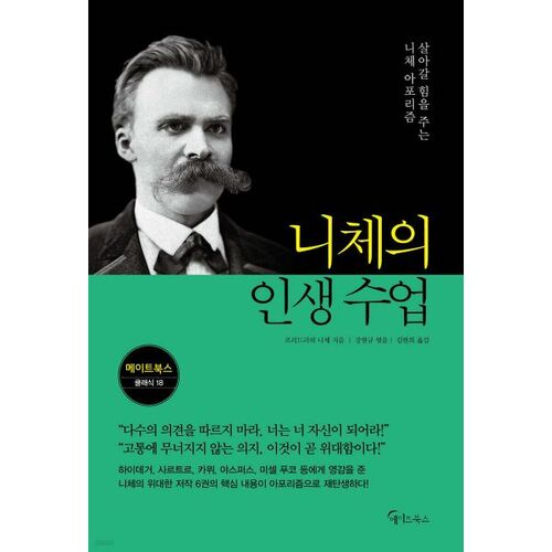 Nietzsche's Life Lessons 