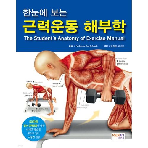 Anatomie de la musculation en bref 