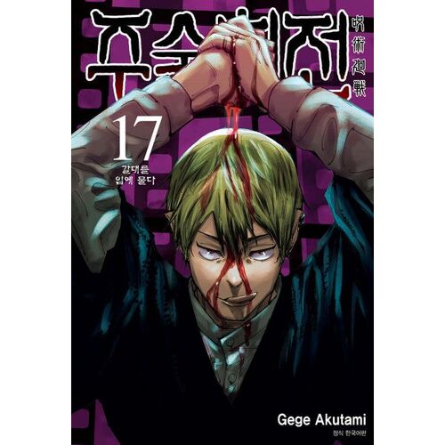 Jujutsu Kaisen 17 Standard Edition 