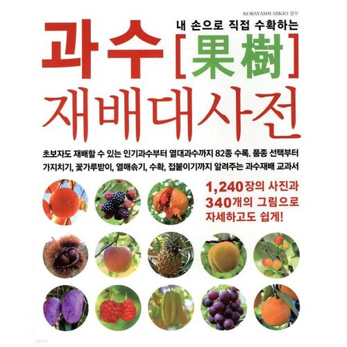 A Guide to Harvesting Fruits with Your Own Hands 