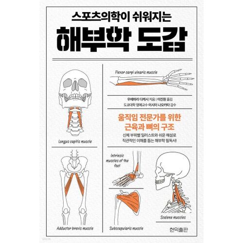 Anatomy Atlas that Makes Sports Medicine Easy 
