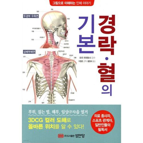 The basics of meridians and blood 