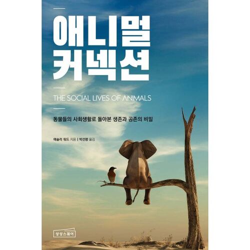 Lien avec les animaux 