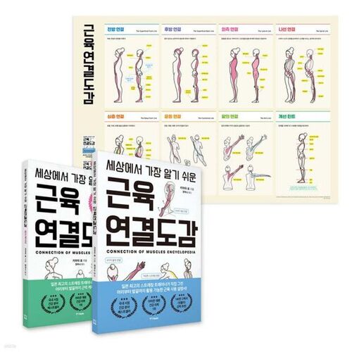The world's easiest-to-understand muscle connection diagram set 