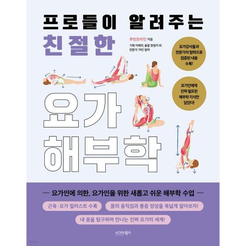 Friendly yoga anatomy taught by professionals 