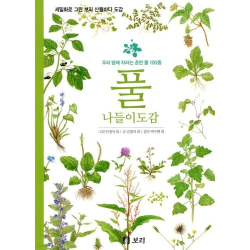 Guide complet de l'excursion 